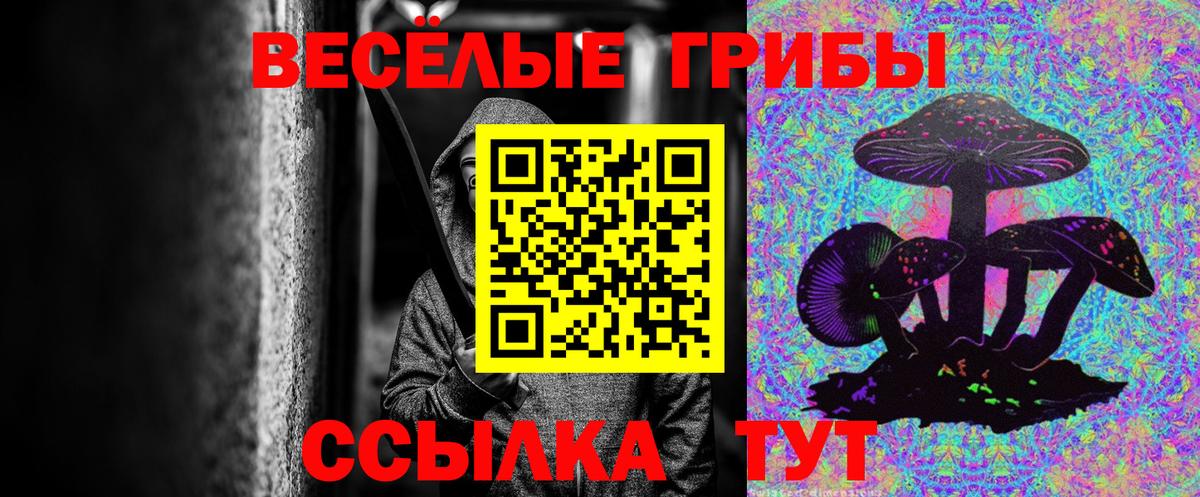 Псилоцибиновые грибы MAGIC MUSHROOMS Еманжелинск